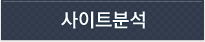 사이트분석