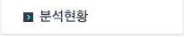 분석현황