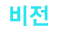 비전